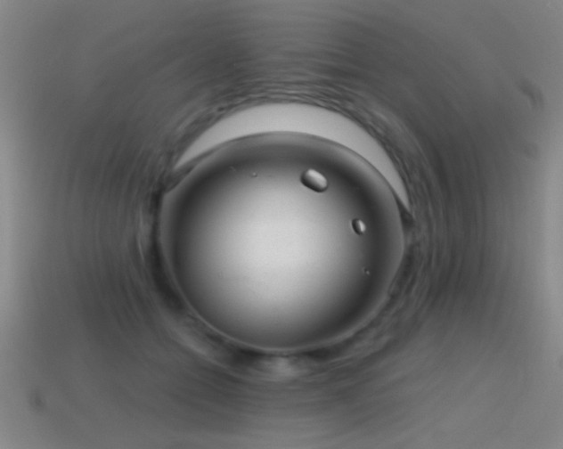 X0000114690558200910211314