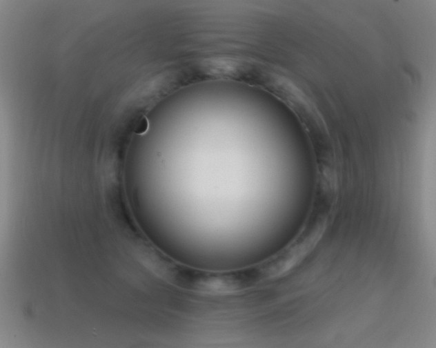 X0000114690561200910211314