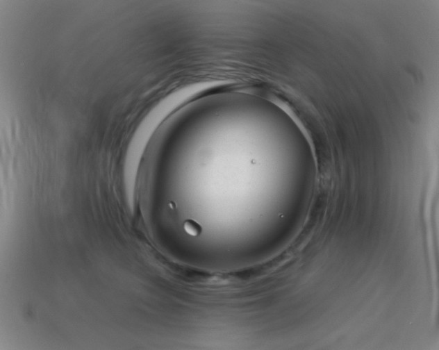 X0000114690566200910211315