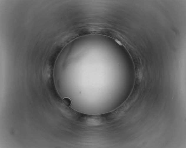 X0000114690567200910211315