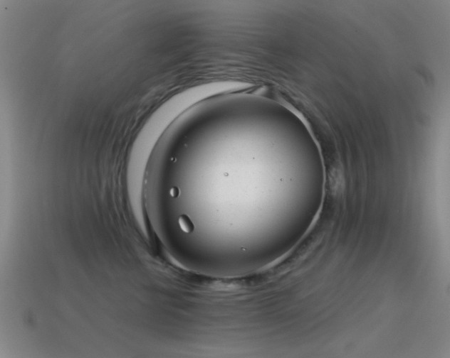 X0000114690570200910211315