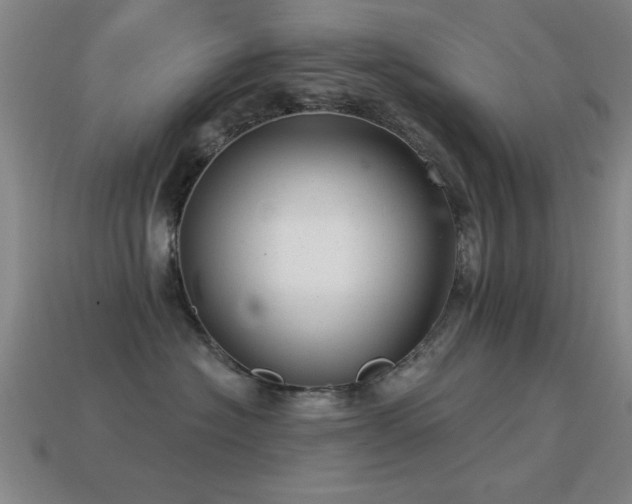 X0000114690574200910211315