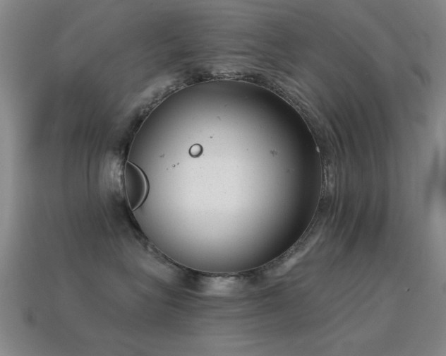 X0000114690575200910211315