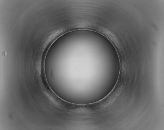 X0000114690578200910211314
