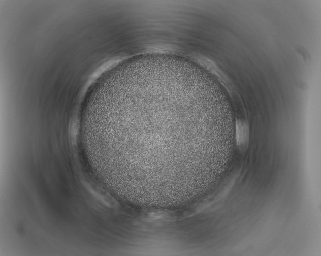 X0000114690579200910211314