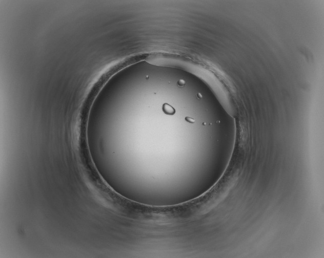 X0000114690580200910211314