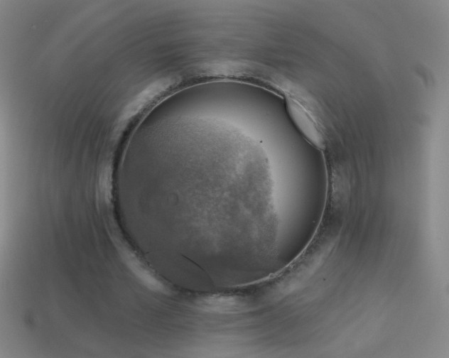 X0000114690581200910211314