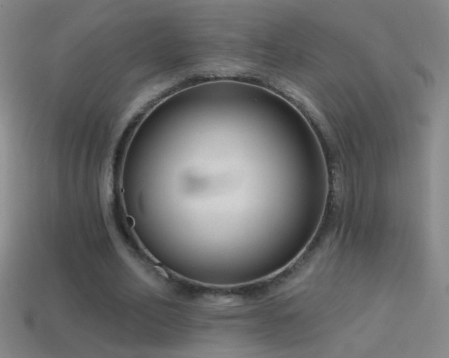 X0000114690582200910211314