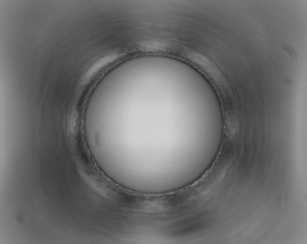 X0000114690583200910211314