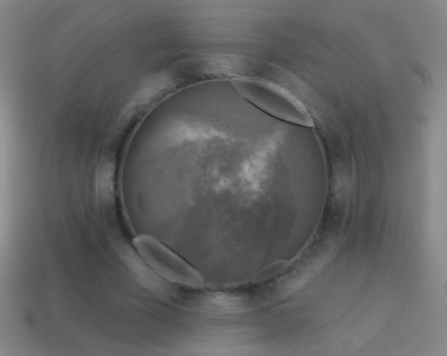 X0000114690585200910211314