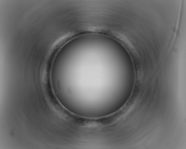 X0000114690587200910211314