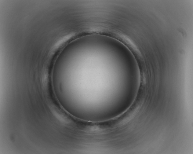 X0000114690588200910211314