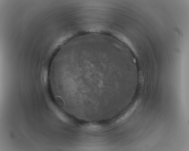 X0000114690589200910211314
