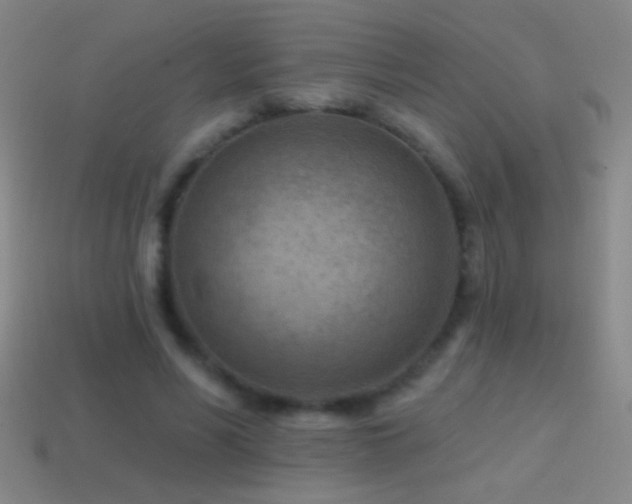 X0000114690590200910211314