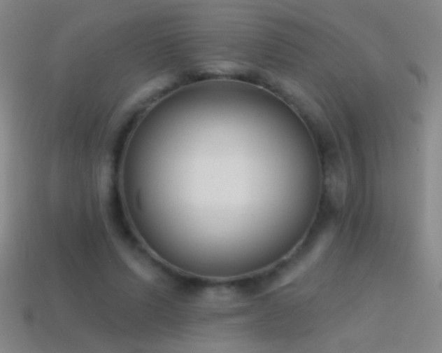 X0000114690591200910211314