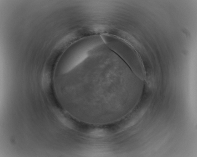 X0000114690593200910211314