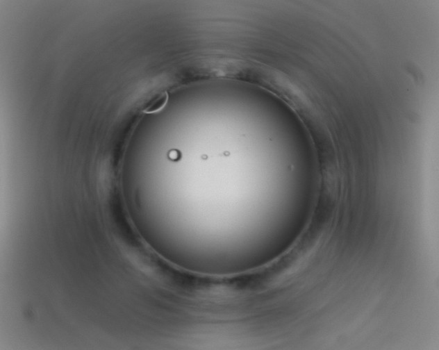 X0000114690594200910211314