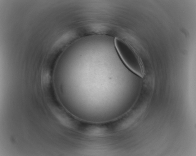 X0000114690597200910211314