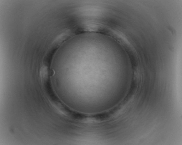 X0000114690598200910211314