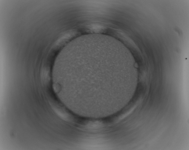 X0000114690599200910211314