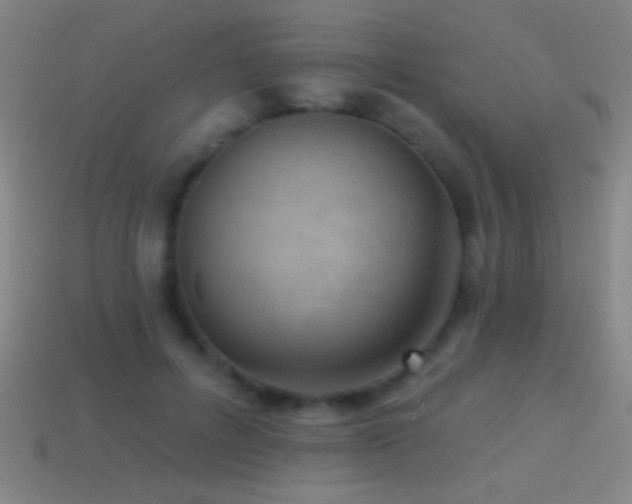 X0000114690600200910211314
