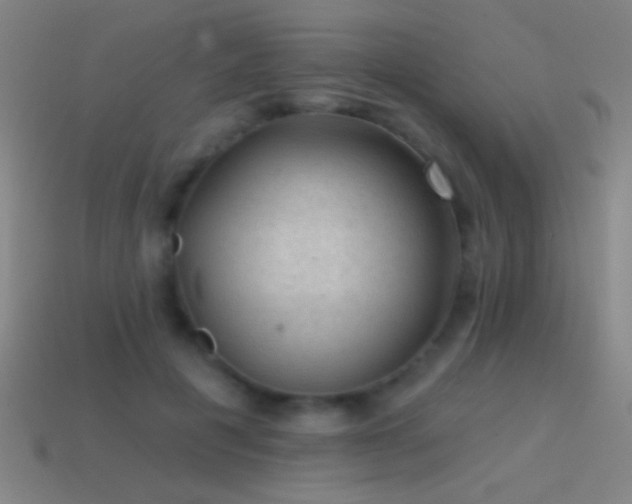 X0000114690601200910211314