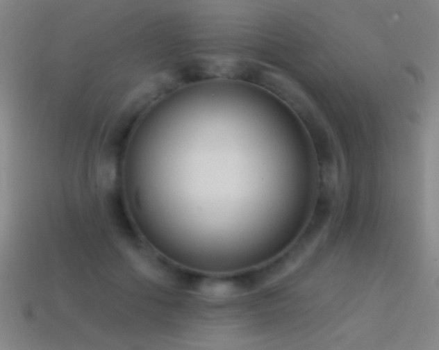X0000114690602200910211314