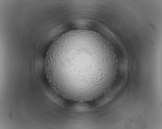 X0000114690603200910211314