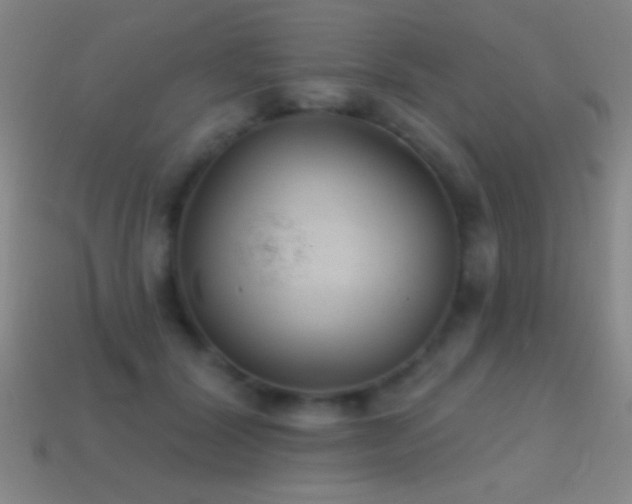 X0000114690604200910211314