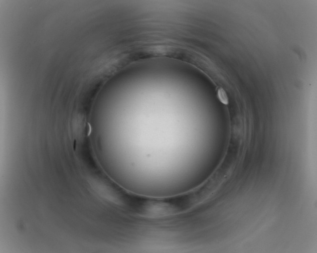X0000114690605200910211314
