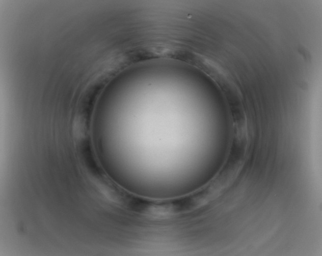 X0000114690606200910211314