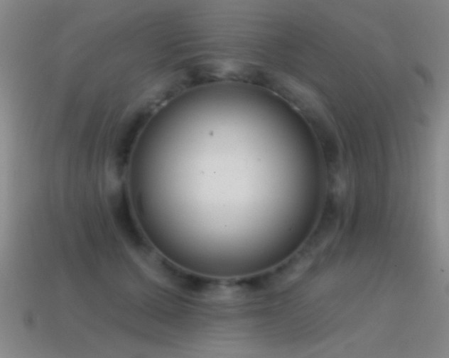 X0000114690607200910211314