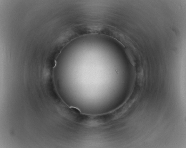 X0000114690608200910211314