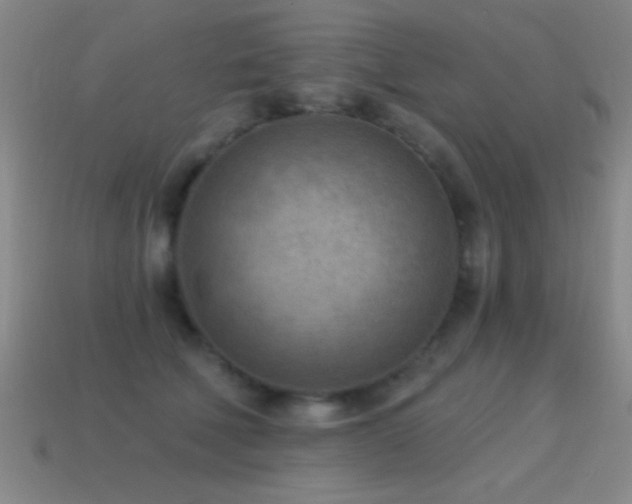 X0000114690610200910211314