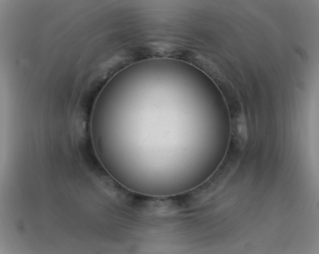 X0000114690615200910211314