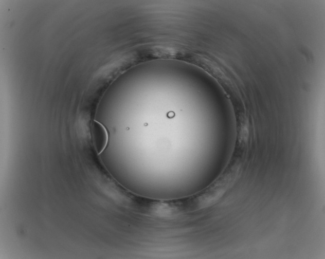 X0000114690616200910211314
