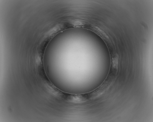 X0000114690618200910211314