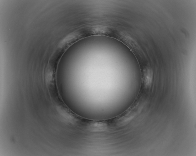 X0000114690619200910211313