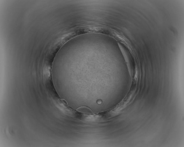 X0000114690621200910211313