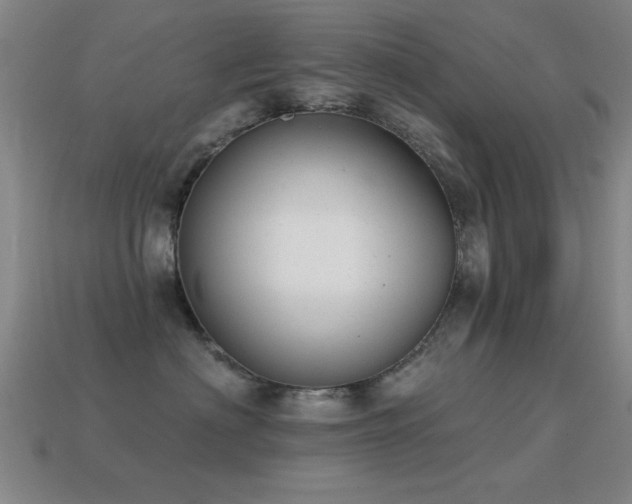 X0000114690622200910211313
