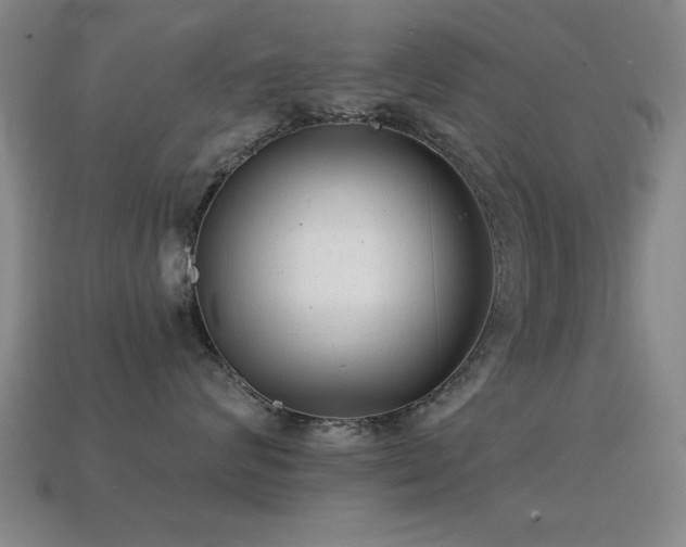 X0000114690624200910211313