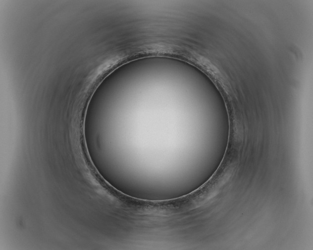 X0000114690625200910211313