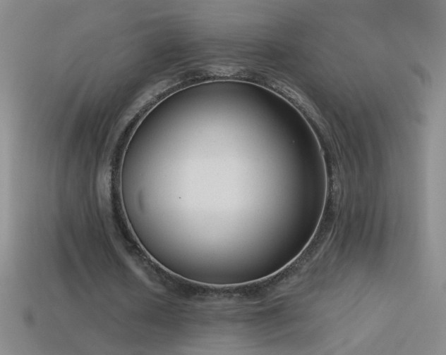 X0000114690626200910211313