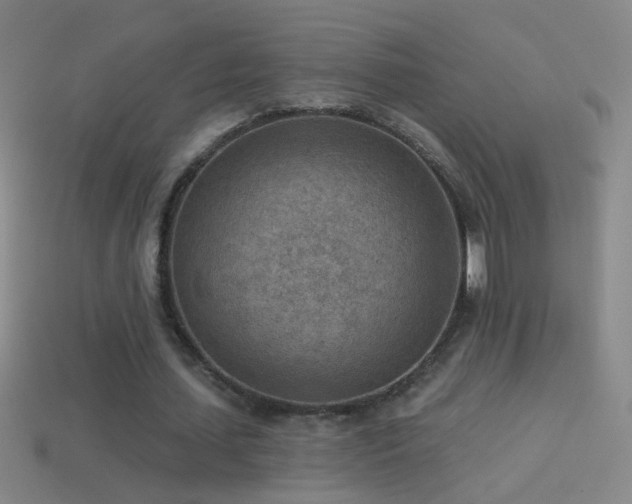 X0000114690627200910211313