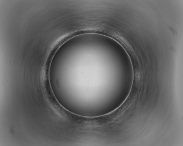 X0000114690628200910211313