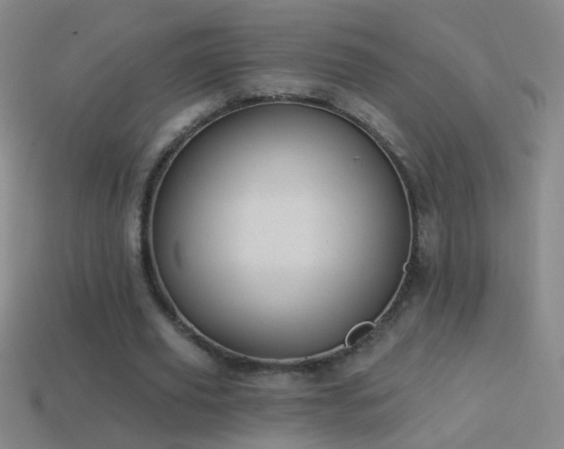 X0000114690629200910211313