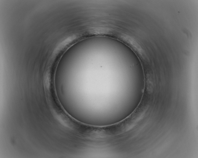 X0000114690631200910211313