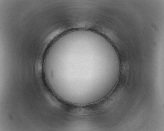 X0000114690632200910211313