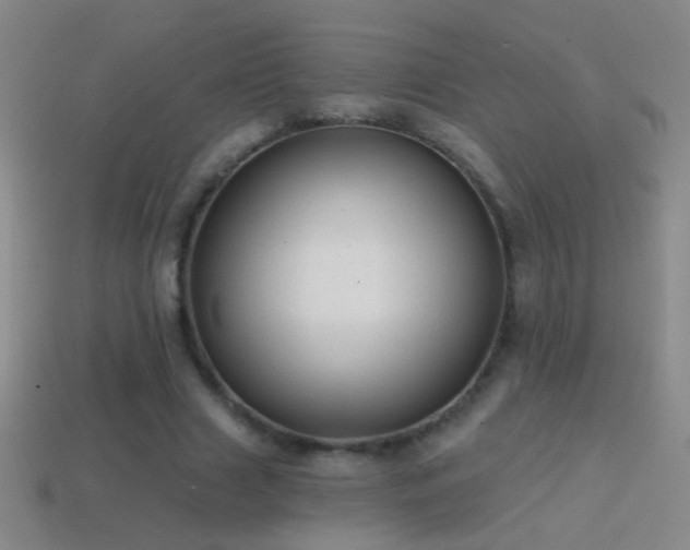X0000114690633200910211313