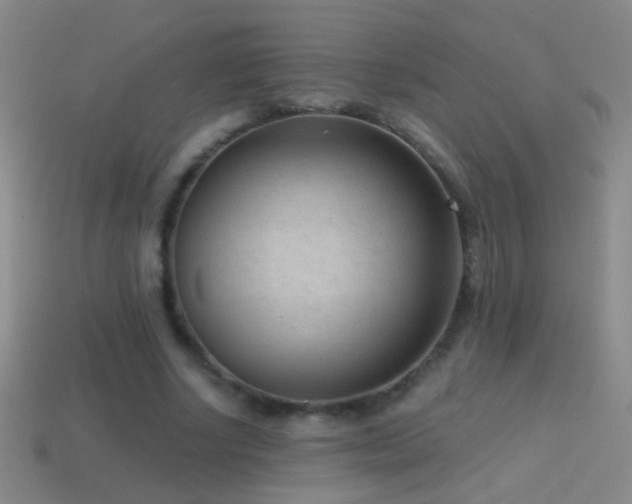 X0000114690634200910211313